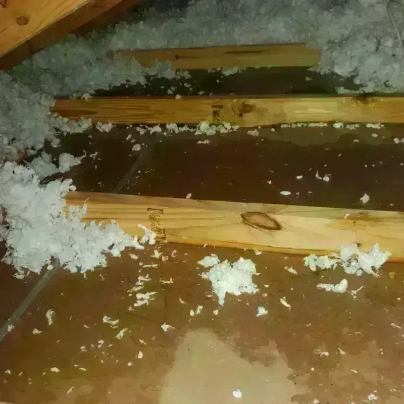 Attic Water Damage in Albany, MO