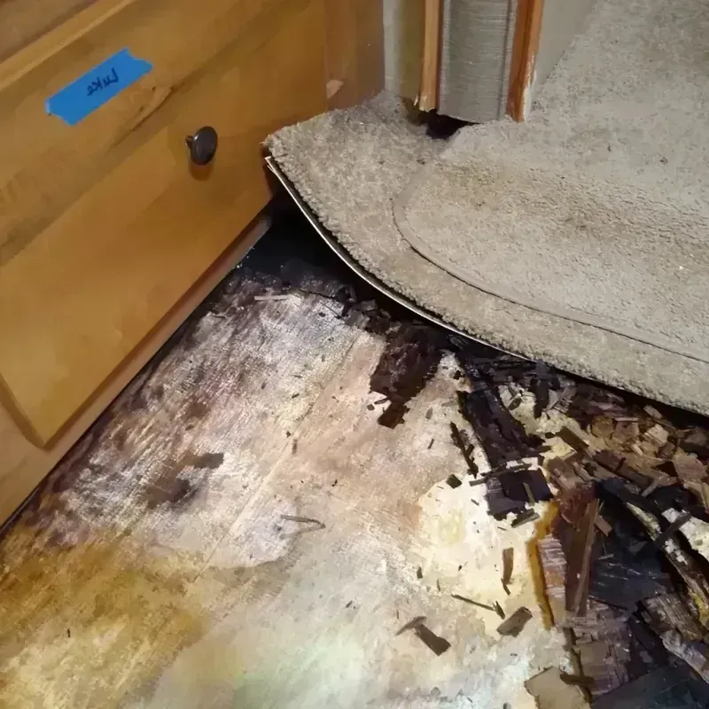 Wood Floor Water Damage in Albany, MO